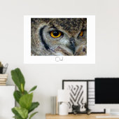 Poster d'hibou (Bureau à domicile)