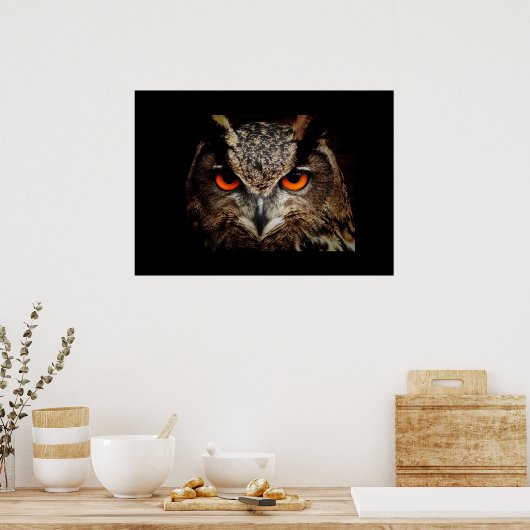 Poster d'hibou (Cuisine)