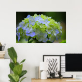 Poster d'Hydrangea (Bureau à domicile)