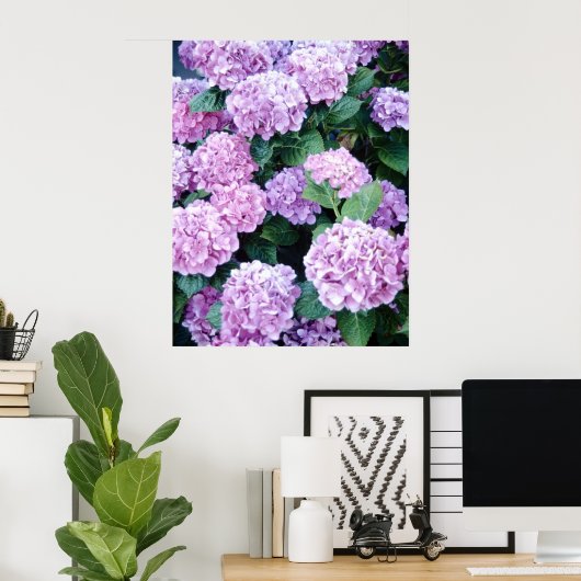 Poster d'Hydrangea (Bureau à domicile)