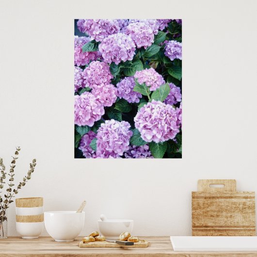 Poster d'Hydrangea (Cuisine)