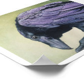 Poster Diablo Corbeau noir corbeau Art Imprimer Miranda (Coin)