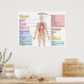 Poster Diagram of the Manifestations of Cystic Fibrosis (Cuisine)