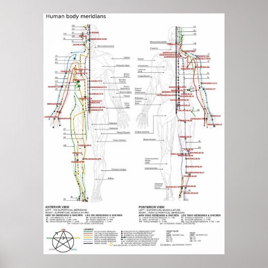 Poster Diagram Schematic Chinese Meridians Human Body (Devant)