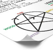 Poster Diagram Schematic Chinese Meridians Human Body (Coin)