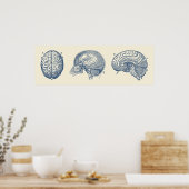 Poster Diagramme cérébral Trois vues Anatomie Vintage (Cuisine)