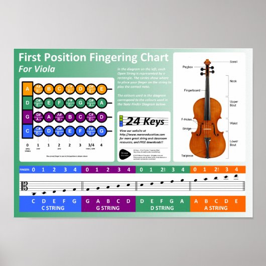Poster Diagramme d'ailettes en alto (Devant)