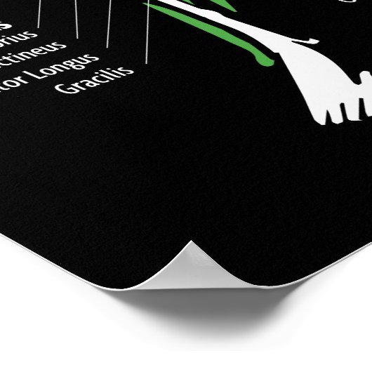 Poster Diagramme d'anatomie - Exercice de gym (Coin)