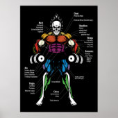 Poster Diagramme d'anatomie - Exercice de gym (Devant)
