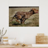 Poster Diagramme de canine (Cuisine)