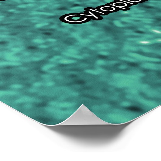 Poster Diagramme de cellule Plante 3D (Coin)