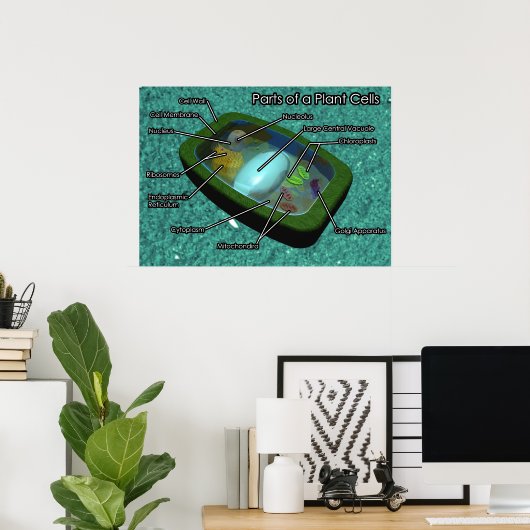 Poster Diagramme de cellule Plante 3D (Bureau à domicile)
