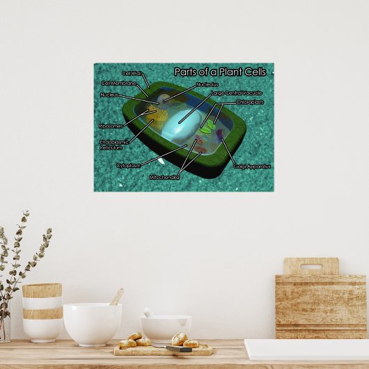 Poster Diagramme de cellule Plante 3D (Cuisine)