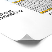 Poster Diagramme de la paroi cellulaire des bactéries nég (Coin)