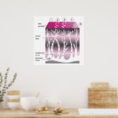 Poster Diagramme de la progression des bardeaux sur la pe (Cuisine)