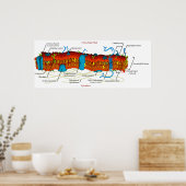 Poster Diagramme de membrane cellulaire commun à toutes l (Cuisine)