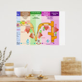 Poster Diagramme de transport molaire de Néphron du rein (Cuisine)