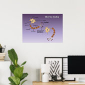 Poster Diagramme des cellules nerveuses (Bureau à domicile)