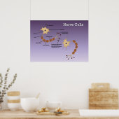 Poster Diagramme des cellules nerveuses (Cuisine)