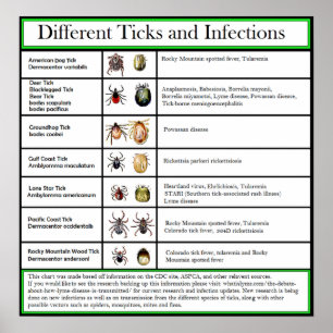 Poster Diagramme des tiques et des infections