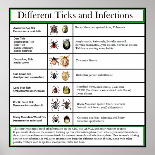 Poster Diagramme des tiques et des infections (Devant)