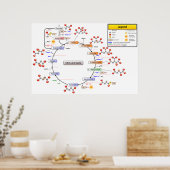 Poster Diagramme détaillé du cycle de l'acide citrique (Cuisine)