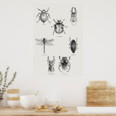 Poster Diagramme d'insectes (Cuisine)