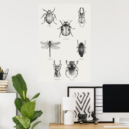 Poster Diagramme d'insectes (Bureau à domicile)