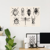 Poster Diagramme d'insectes II (Bureau à domicile)