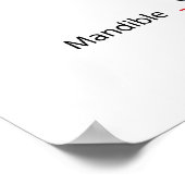 Poster Diagramme du crâne humain adulte (Coin)