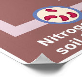 Poster Diagramme du cycle de l'azote de la Terre (Coin)