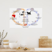 Poster Diagramme du cycle de vie de Toxoplasma Gondii (Cuisine)