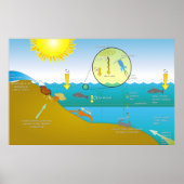 Poster Diagramme du processus d'eutrophisation de l'eau (Devant)