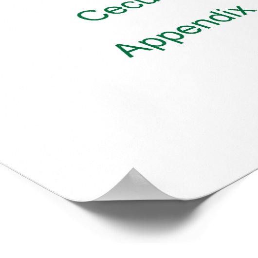 Poster Diagramme du système digestif humain (Coin)