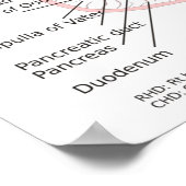 Poster Diagramme du système militaire de l'affiche (Coin)