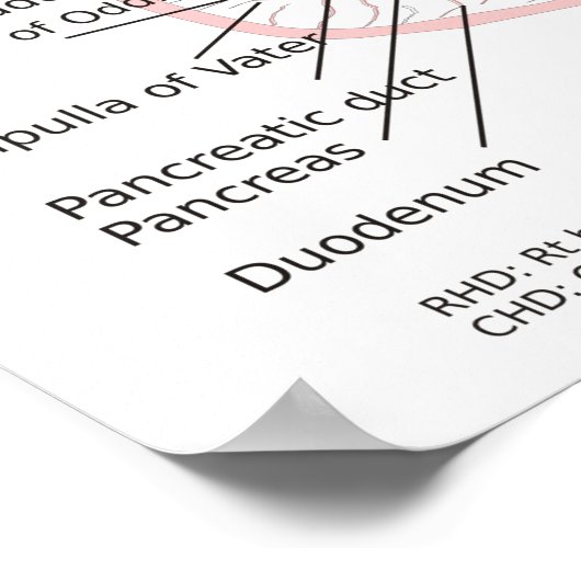 Poster Diagramme du système militaire de l'affiche (Coin)