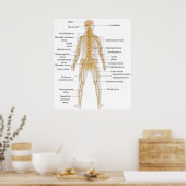 Poster Diagramme du système nerveux du corps humain (Cuisine)