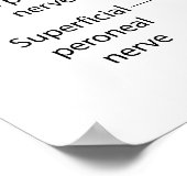 Poster Diagramme du système nerveux du corps humain (Coin)