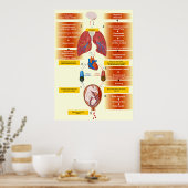 Poster Diagramme d'un embolisme amniotique de fluides (Cuisine)