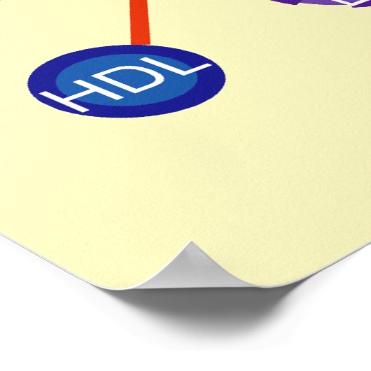 Poster Diagramme HDL Lipoprotéine haute densité (Coin)