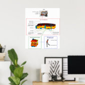 Poster Diagramme Plasma cellulaire Membrane Plasmalemme (Bureau à domicile)