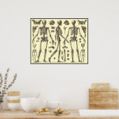 Poster Diagrammes squelettes vintages (Cuisine)