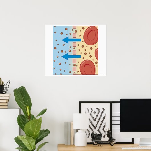 Poster Dialyse rénale (Bureau à domicile)