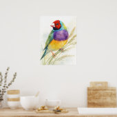 Poster Diamant de Gould Coloré Perché (Cuisine)