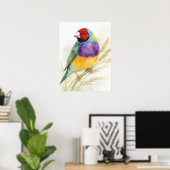 Poster Diamant de Gould Coloré Perché (Bureau à domicile)