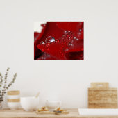 Poster Diamants de rose rouge (Cuisine)