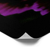 Poster dianthe (Coin)