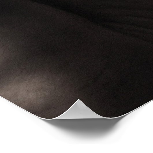 Poster Diapositive (Coin)