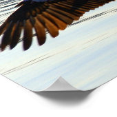 Poster diapositive (Coin)