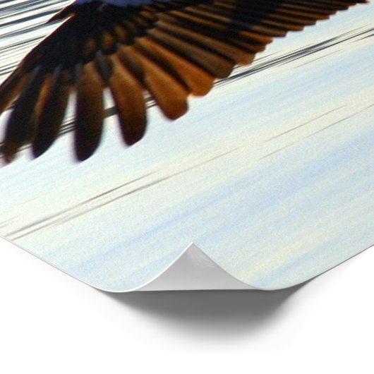 Poster diapositive (Coin)